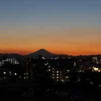 富士山が綺麗なので。