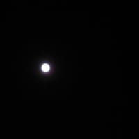 空へ昇っていきました