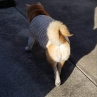 クリンへの想いは尽きなくて・・・307