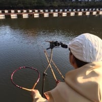 円良田湖 へら釣り 2021.11.17 お凸もでた常管桟橋 暖かくも釣果は激寒でしたｗ
