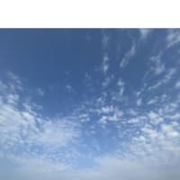 今日の虹ヶ浜