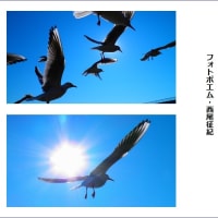 トリプル効果