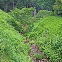 篠山囲炉裏料理 いわや