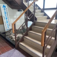 名階段で昼食を食べる
