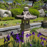 花の寺