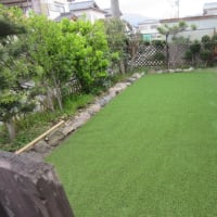 615.関西万博なんてあまり大した興味はない