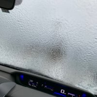 リハビリに行こうかしら