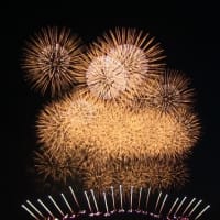 万博会場の花火を撮って来たので送りますよ！-------　ともちゃんからの画像投稿です。