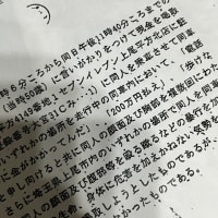 不良総長恐喝未遂事件　