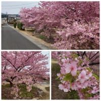 君の名は