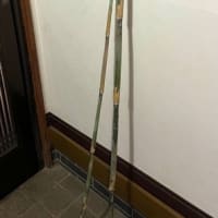 篠笛の篠竹？女竹？