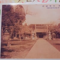 江南所無は仁徳天皇時代から存在した　水戸の浪速の梅と烈公梅の関係など