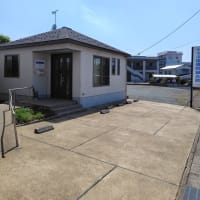 足関節を捻り負傷～問診、視診、触診の診察から、『超音波観察』にて治療の決定