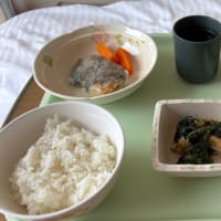 プレート抜去手術