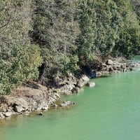Philip Glass - Japurá River (Uakti)