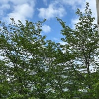 今にも雨が降りそう
