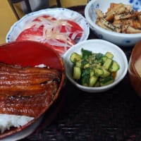 ６・１１　医者のはしご
