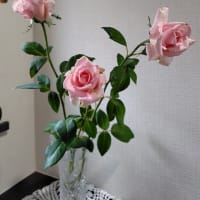 良いコンサートでした