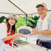 練馬の畑〜東編〜