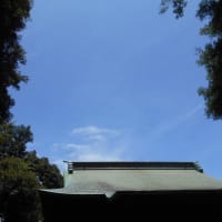 今週は梅雨の中休み？ 真夏日でもう夏だ～ ヾ(;´▽｀A``