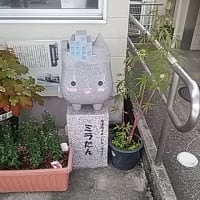 町内一周散歩・・・
