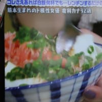 倉科カナさんがテレビで、お勧めのごはん料理を紹介していましたーおいしい猫まんまでした