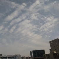 大阪天王寺上空壮絶地震雲。どこかで大地震が起こりそう。