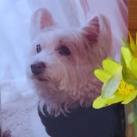 💐あれから１４年💐