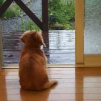 今日のお天気☀