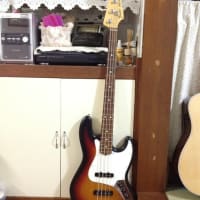 Fender USA Highway One Jazz Bass ボディ