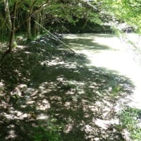 上の池の泥浚い　２