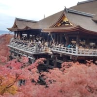 清水寺は紅葉でした。