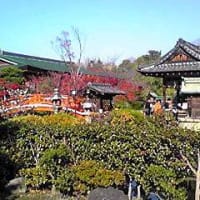 京都旅行 その9 ～神泉苑～