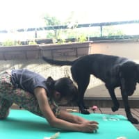 yoga