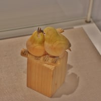 平城宮跡で野鳥写真展開催中！・・・夏鳥たちの小さな写真館