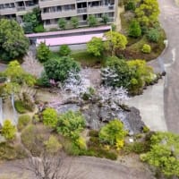 健康の広場：工事の事務所と共通の簡易トイレが