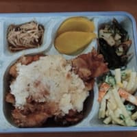 太陽弁当6/30日〜7/4日