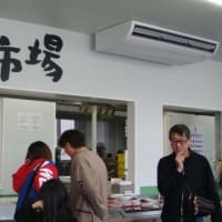 増毛