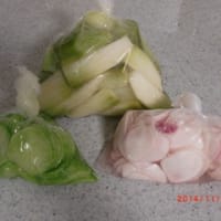 赤と緑の大根の漬物 Andante Grazioso
