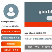 ブログの終了