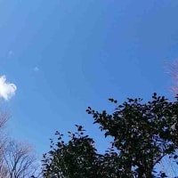 暑い、暑い梅雨