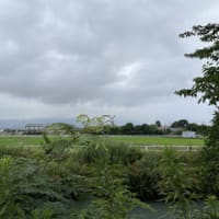 29日から7月5日までのウォーキングプラスα