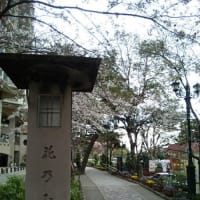2010年お花見～桜～花乃みち