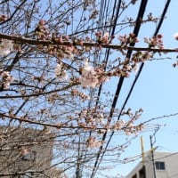ゴールをイメージして