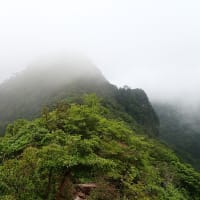 多良山系 2024.07.04 多良岳 前岳