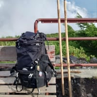 お久しぶりです