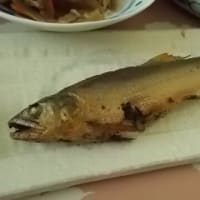 そんなに大人気なのか。。。