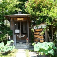 時宗「一遍上人」ゆかりの寺「永海山教善寺」