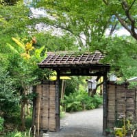 向島百花園をお散歩