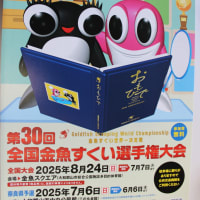 第30回金魚すくい選手権大会のチラシをいただきました。